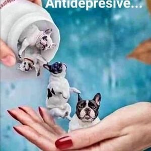 Meet your Posher, Carol